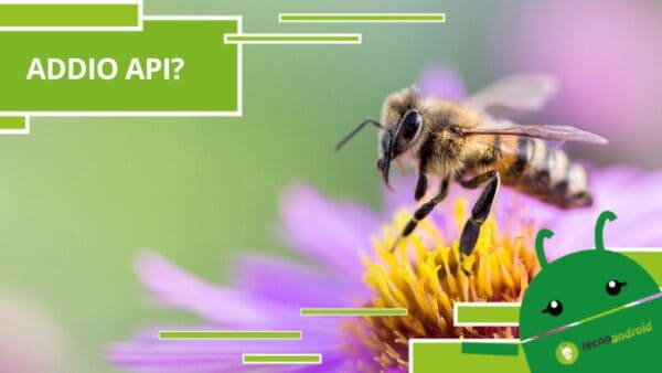 Api, a causa del cambiamento climatico non sarà più possibile mangiare miele