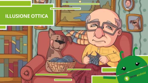 Illusione Ottica, anche se non si vede c'è un insetto nascosto nell'immagine