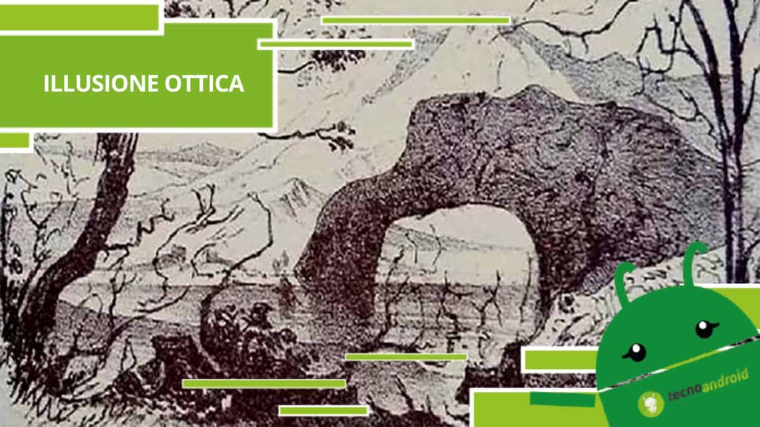 Illusione Ottica - l'immagine è piena di animali nascosti, ecco dove sono