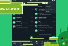 Whatsapp, l'app si trasforma con Material Design 3 e diventa ancora più intuitiva