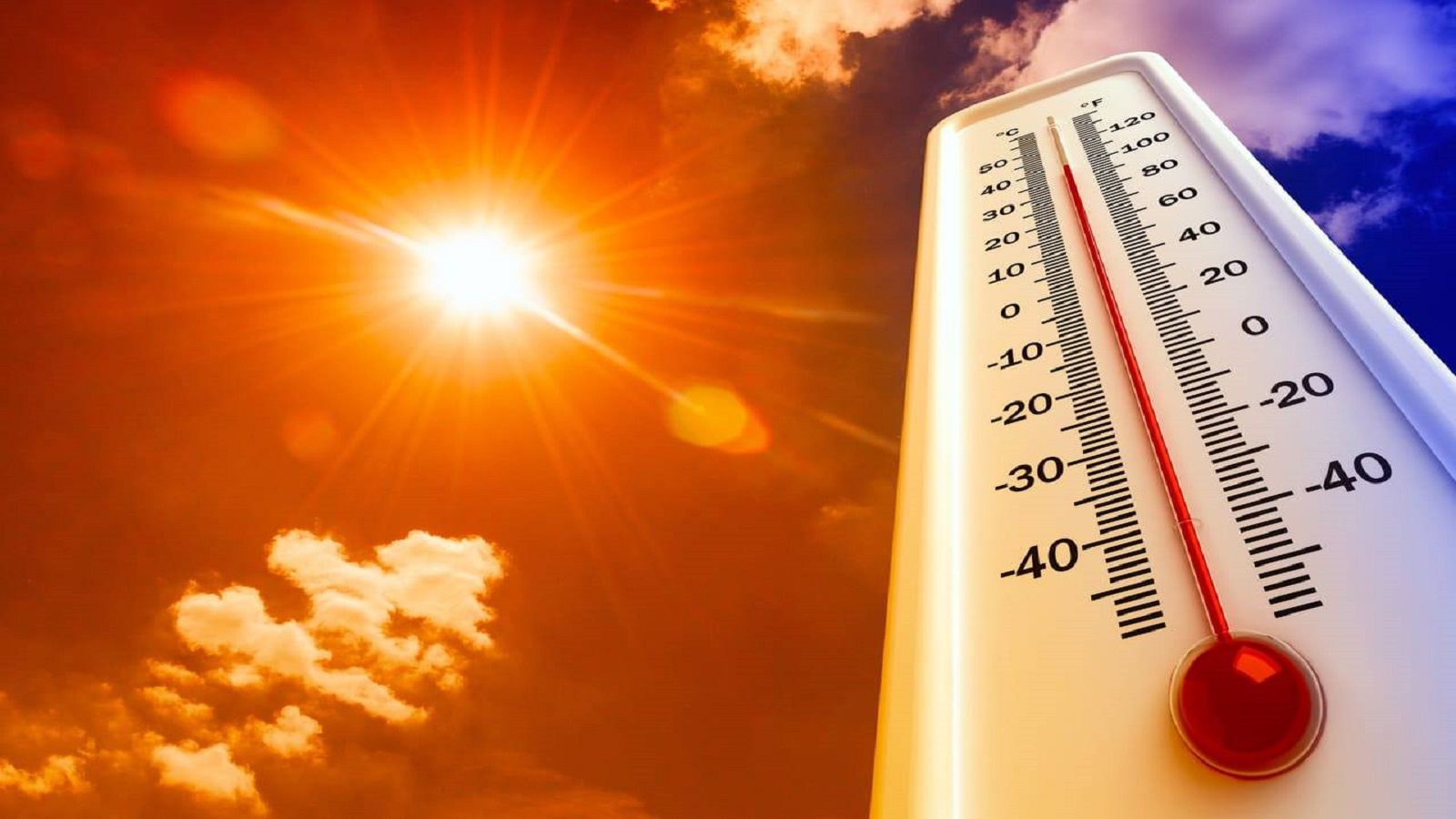 Caldo, estate, sole, disidratazione, colpo di calore