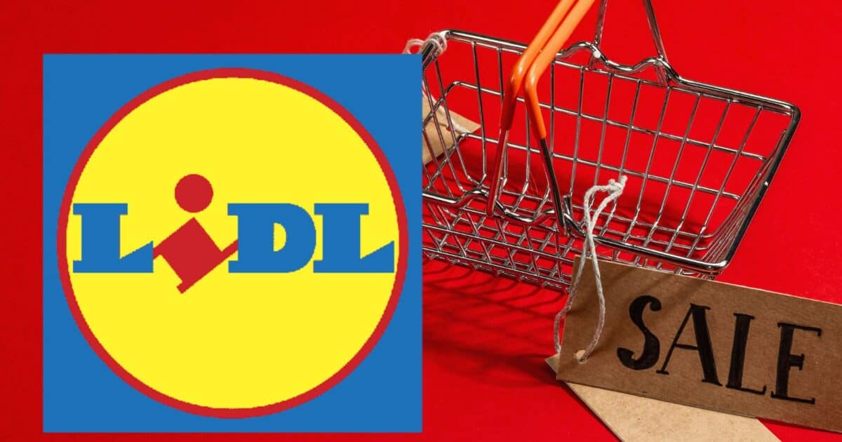 lidl Lidl, questo volantino è da PAZZI, correte subito in negozio