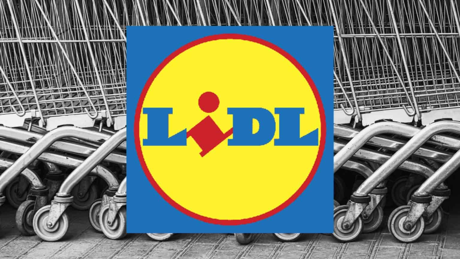Lidl, sconti assurdi con un volantino quasi GRATIS