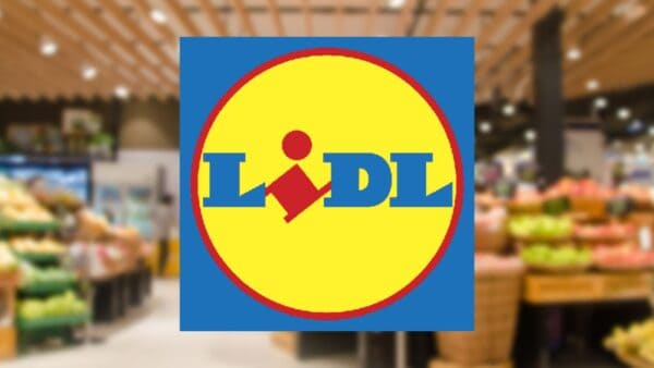 Lidl, tutto è quasi GRATIS, ecco la lista di OFFERTE imperdibili