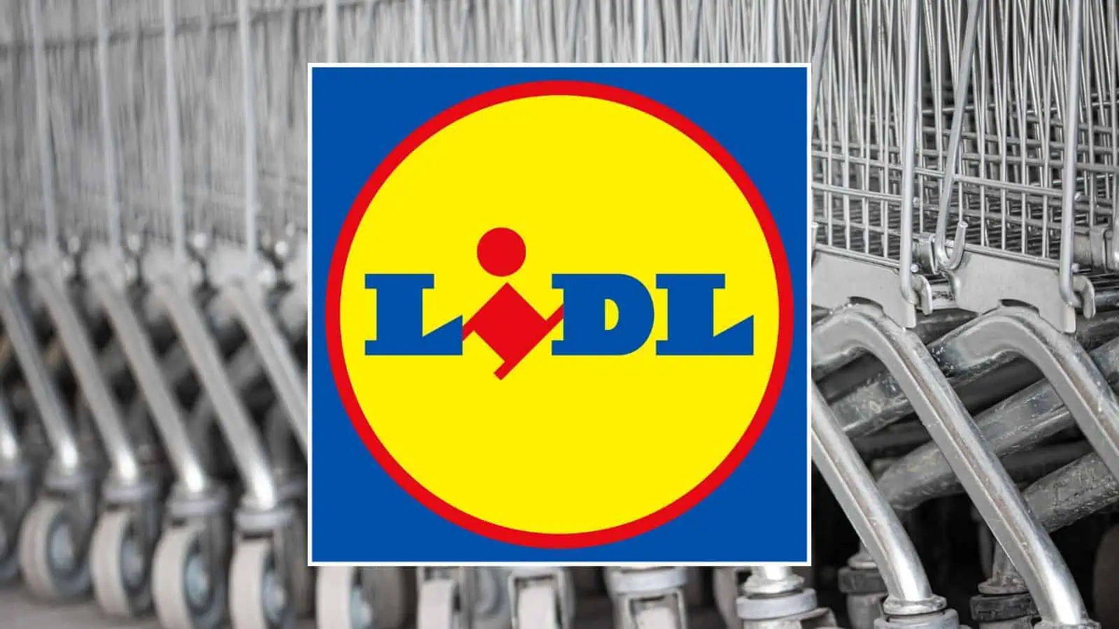 Lidl, settimana di sconti assurdi e tecnologia in REGALO gratis