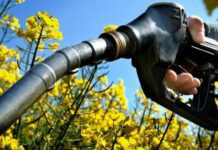 Biofuel approvati dall'UE, il modo per non dire ADDIO a benzina e diesel