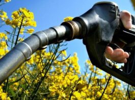 Biofuel approvati dall'UE, il modo per non dire ADDIO a benzina e diesel