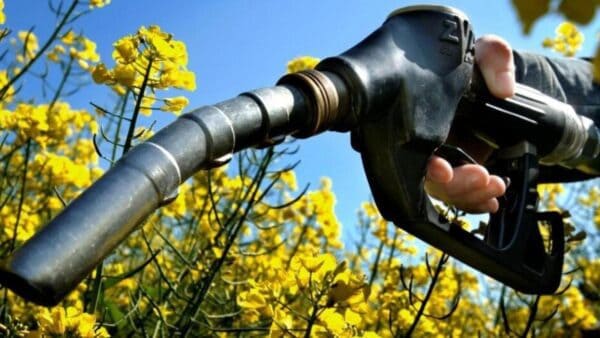 Biofuel approvati dall'UE, il modo per non dire ADDIO a benzina e diesel