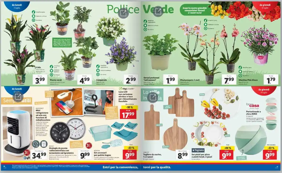 lidl lidl
