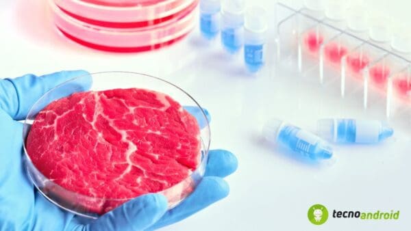 Carne sintetica
