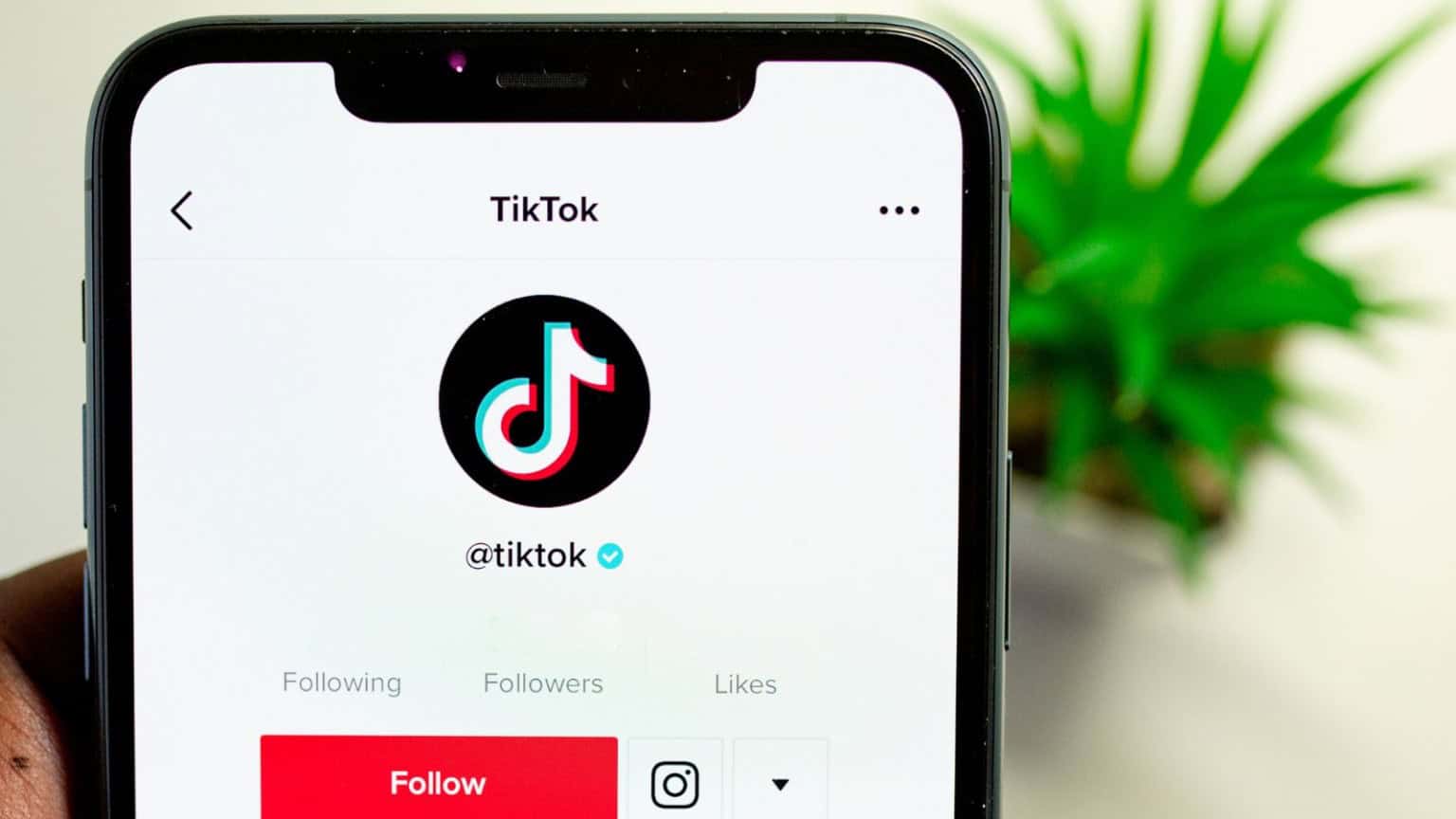 TikTok