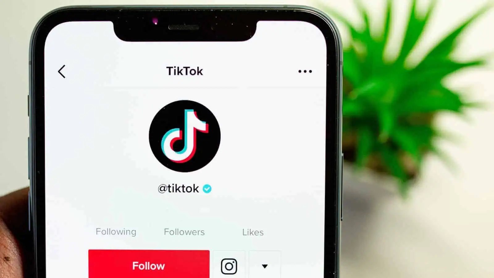 TikTok sfida Amazon con un negozio online
