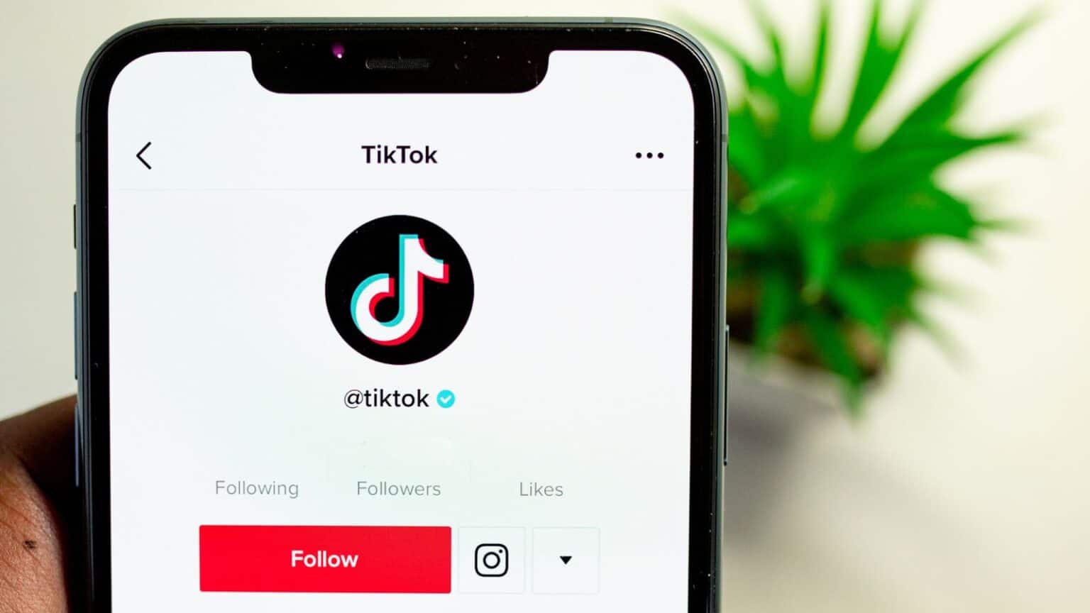 TikTok