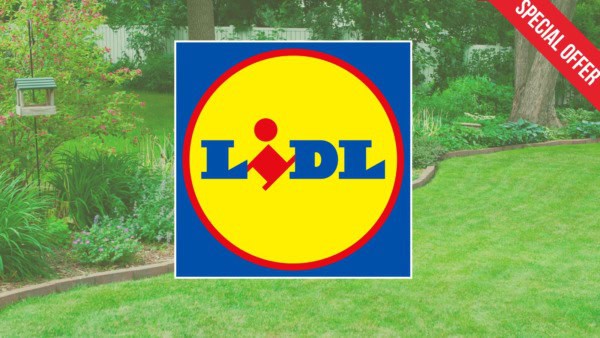 Lidl offerta