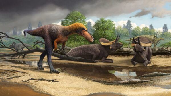 Vita sulla terra se i dinosauri non si fossero estinti