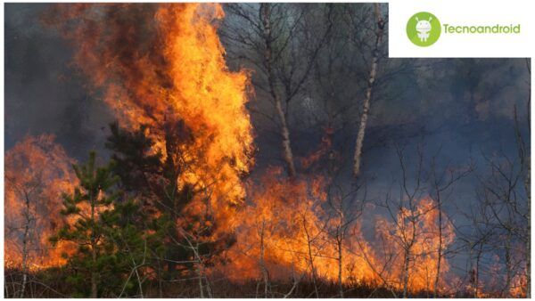 incendi