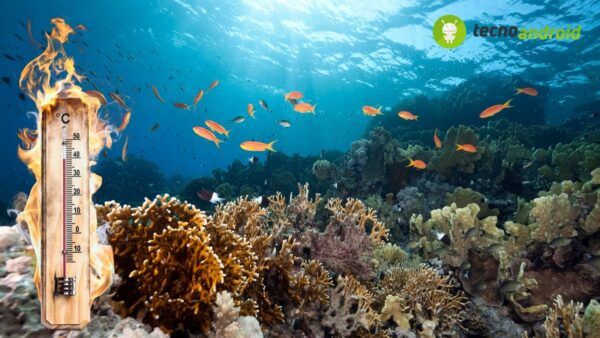 temperatura oceani