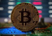 Bitcoin unica criptovaluta legale, ADDIO a tutte le altre