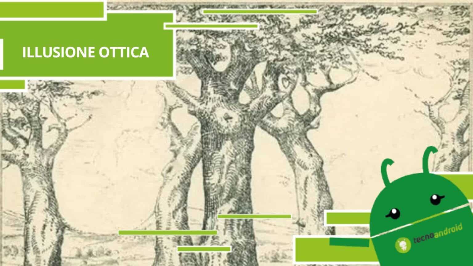 Illusione Ottica, prova a risolvere la sfida dell'immagine dai molteplici volti