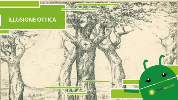 Illusione Ottica, prova a risolvere la sfida dell'immagine dai molteplici volti