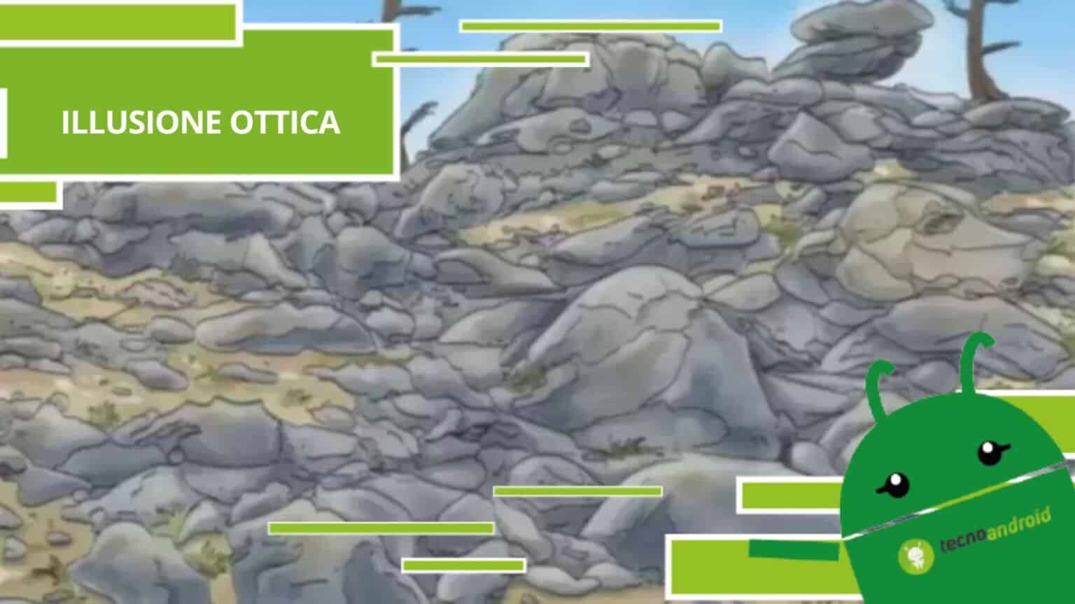 Illusione Ottica, seppur non si veda c'è un cane ben nascosto nella foto