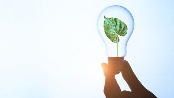 Energia illimitata, solo così non PAGHERETE più le BOLLETTE