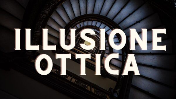 Illusione ottica, quanti animali sono presenti in quest'immagine?