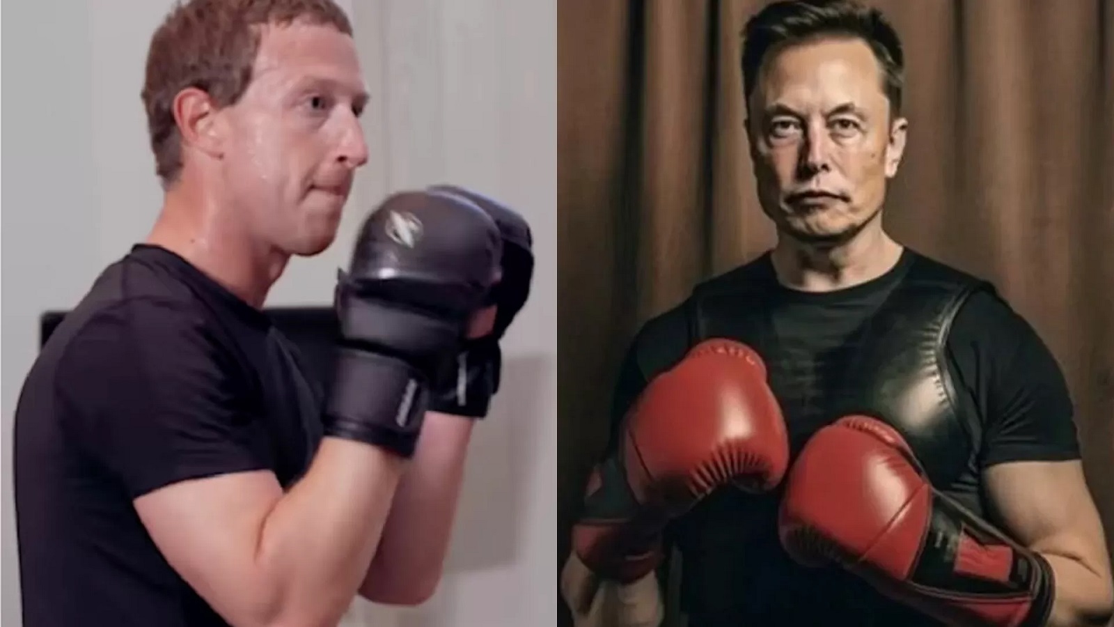Elon musk, Mark Zuckerberg, MMA, sfida, Facebook, SpaceX, Tesla