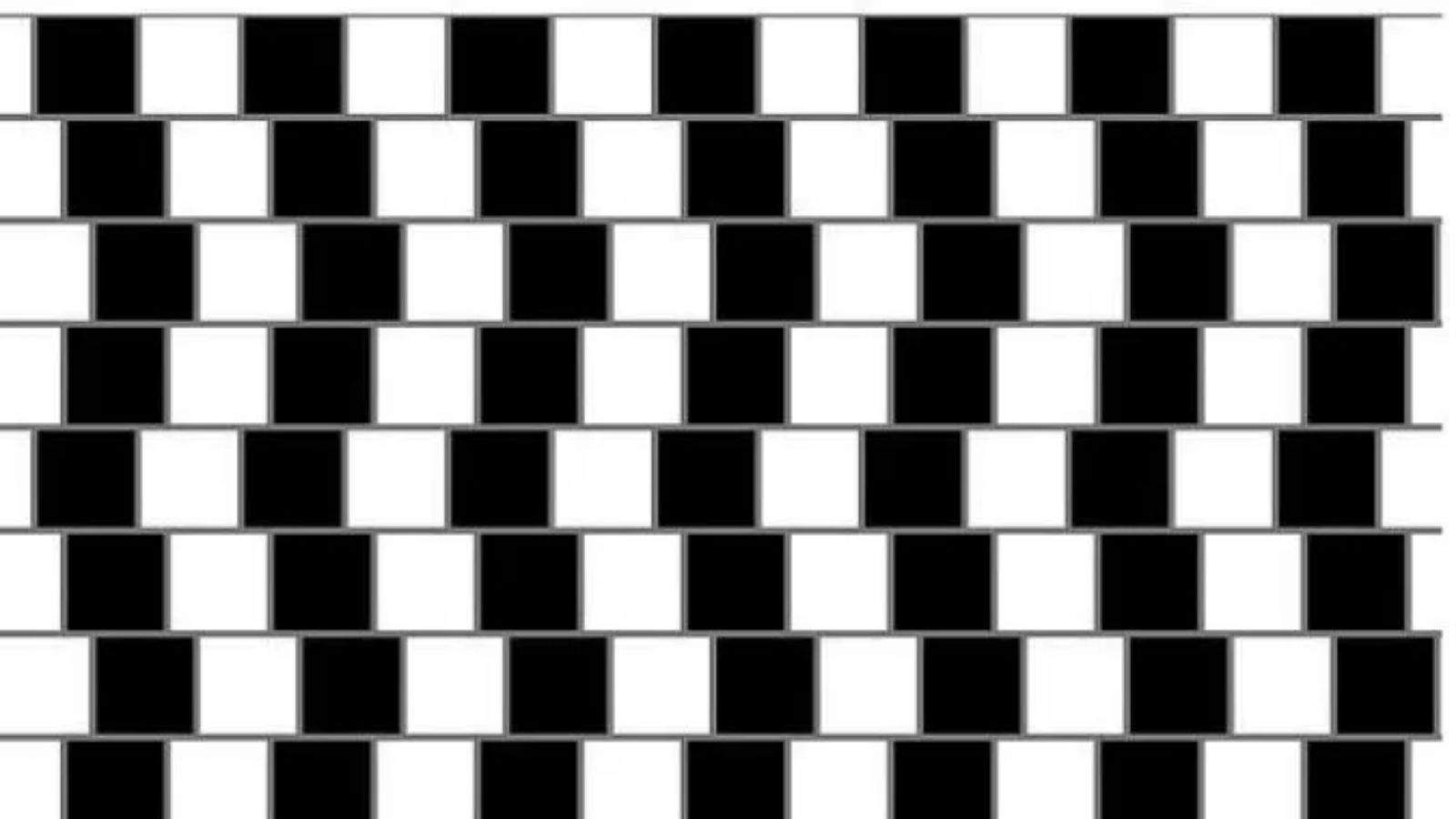 illusioni ottiche - funzionalità Illusioni ottiche linee