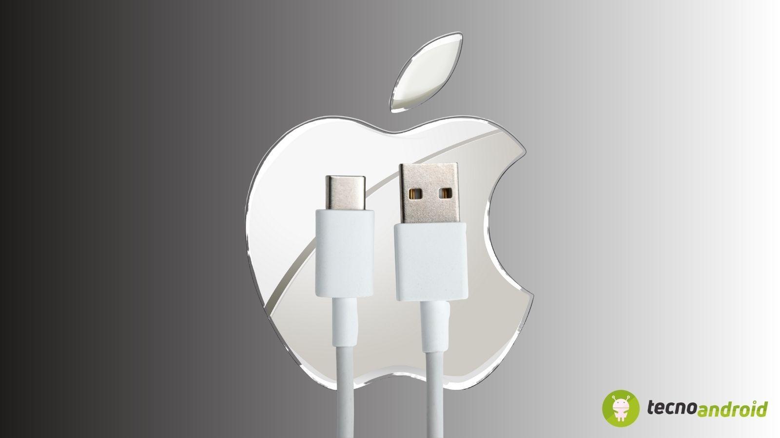 iPhone 15 cavo USB-C