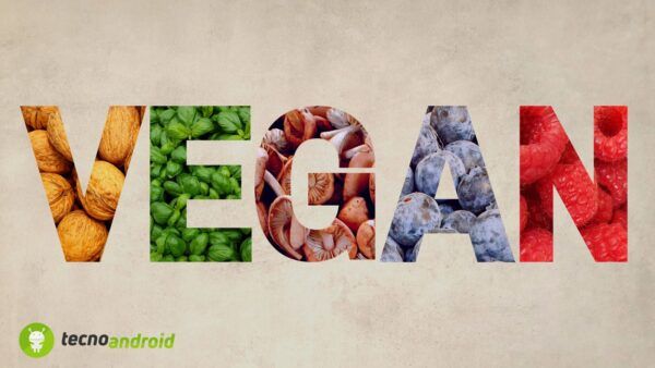 cibo vegano / alimenti vegani