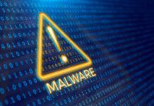Malware cinese preoccupa Usa