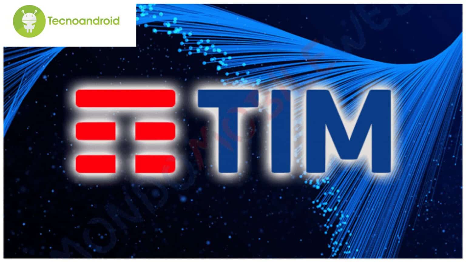 Tim