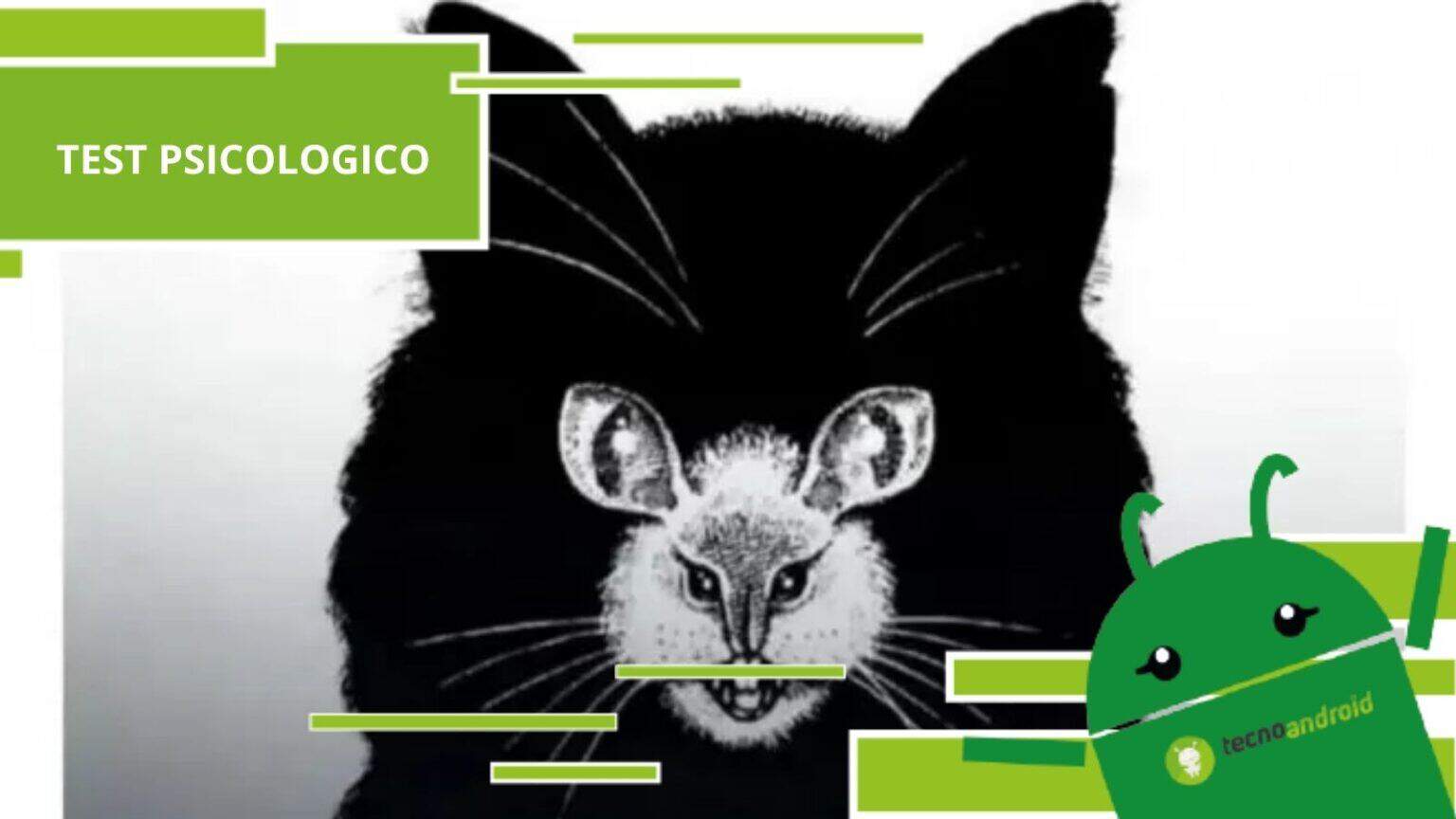 Test psicologico, scopri se il tuo "io" è rappresentato da un gatto o un topo