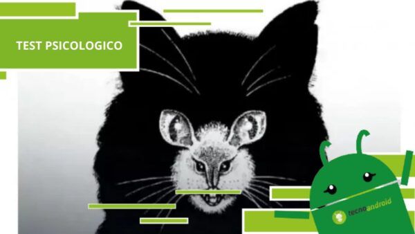 Test psicologico, scopri se il tuo "io" è rappresentato da un gatto o un topo