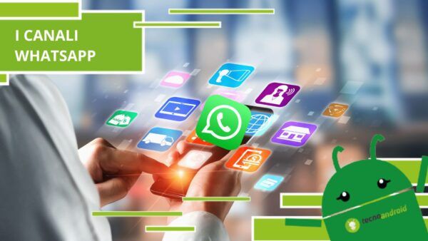 Whatsapp, la piattaforma ha appena inserito un filtro per i Canali