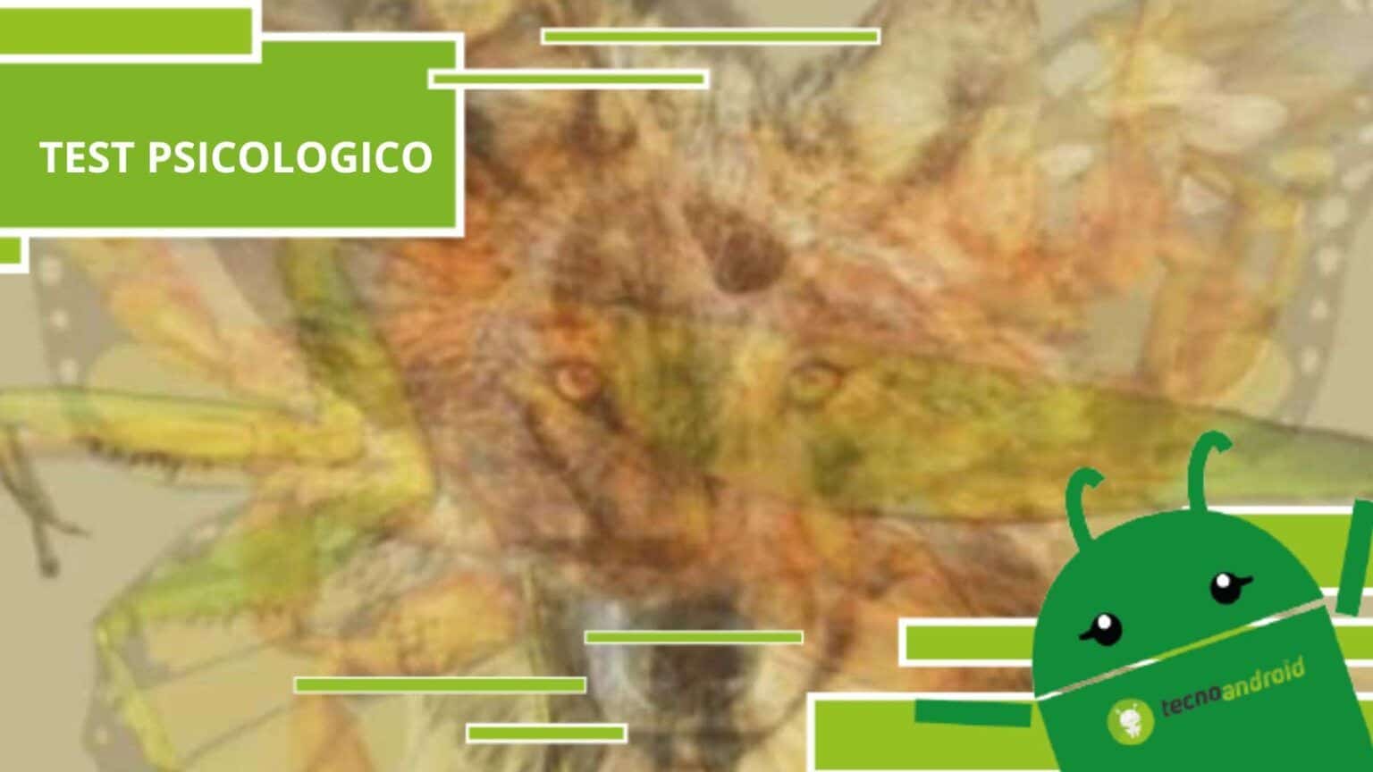 Test psicologico, l'animale che spicca per primo ai tuoi occhi ti rappresenta