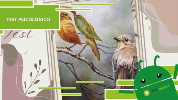 Test psicologico, il test degli uccellini vi legge nel profondo
