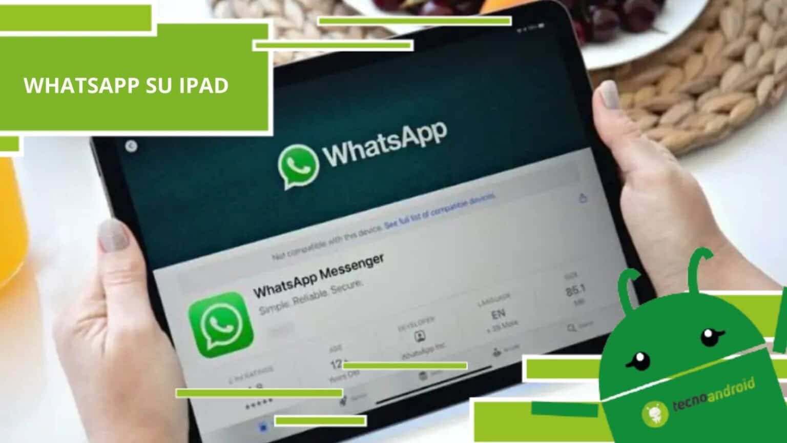 Whatsapp, dopo tanta attesa arriva l'app Beta su iPad