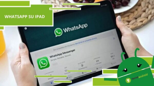 Whatsapp, dopo tanta attesa arriva l'app Beta su iPad