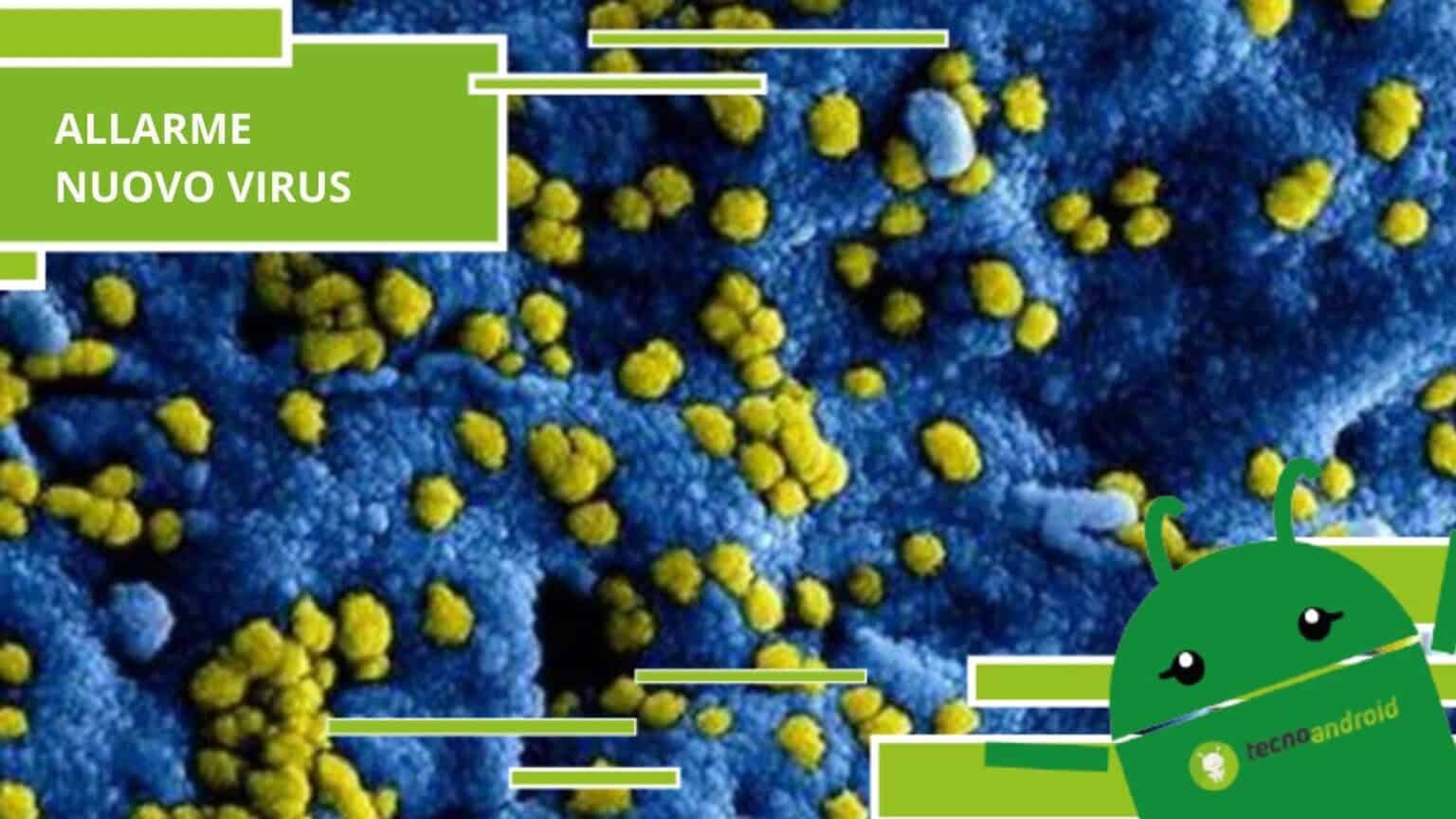Virus, scoperto un nuovo batterio incredibilmente pericoloso