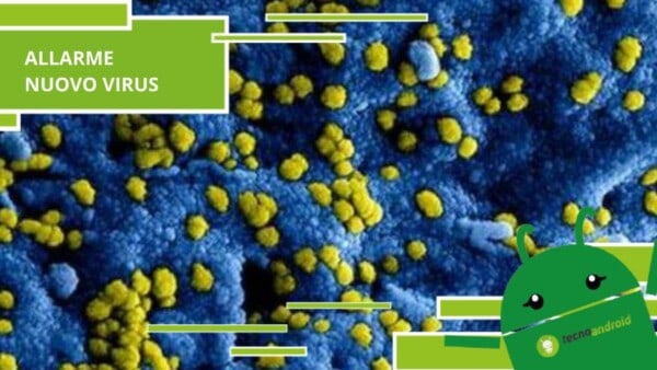 Virus, scoperto un nuovo batterio incredibilmente pericoloso