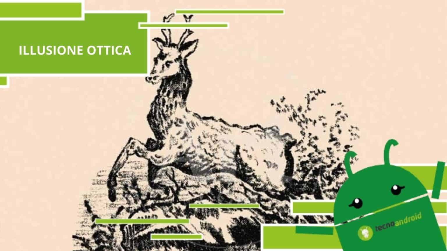 Illusione Ottica, quello che sembra un cervo in realtà è un cane "mascherato"