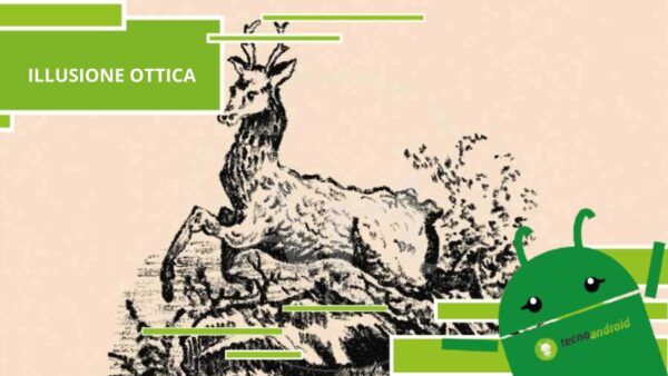 Illusione Ottica, quello che sembra un cervo in realtà è un cane "mascherato"