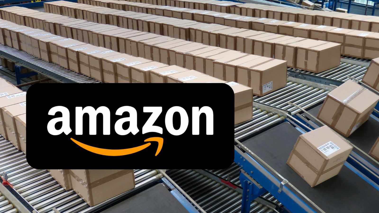 Amazon da FOLLI, tutto è scontato al 50% solo OGGI