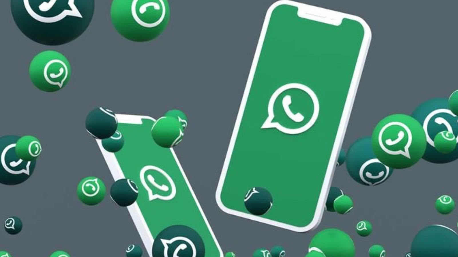 WhatsApp, una novità SPETTACOLARE arriverà in futuro