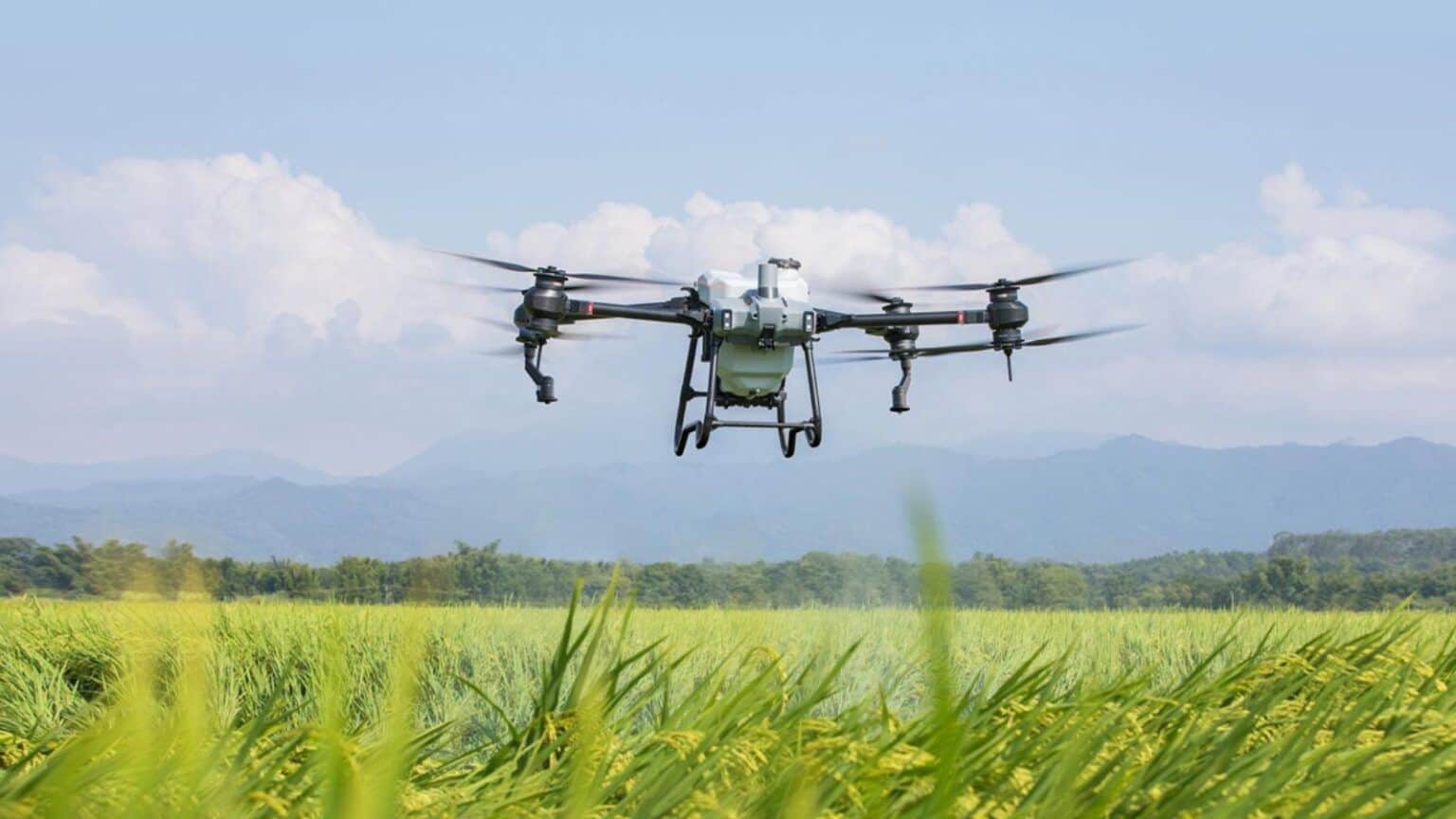 DJI Agriculture, il report sull'utilizzo dei droni nell'agricoltura