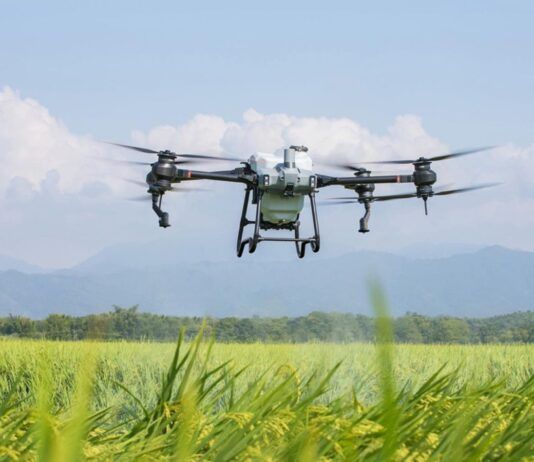 DJI Agriculture, il report sull'utilizzo dei droni nell'agricoltura