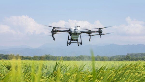 DJI Agriculture, il report sull'utilizzo dei droni nell'agricoltura