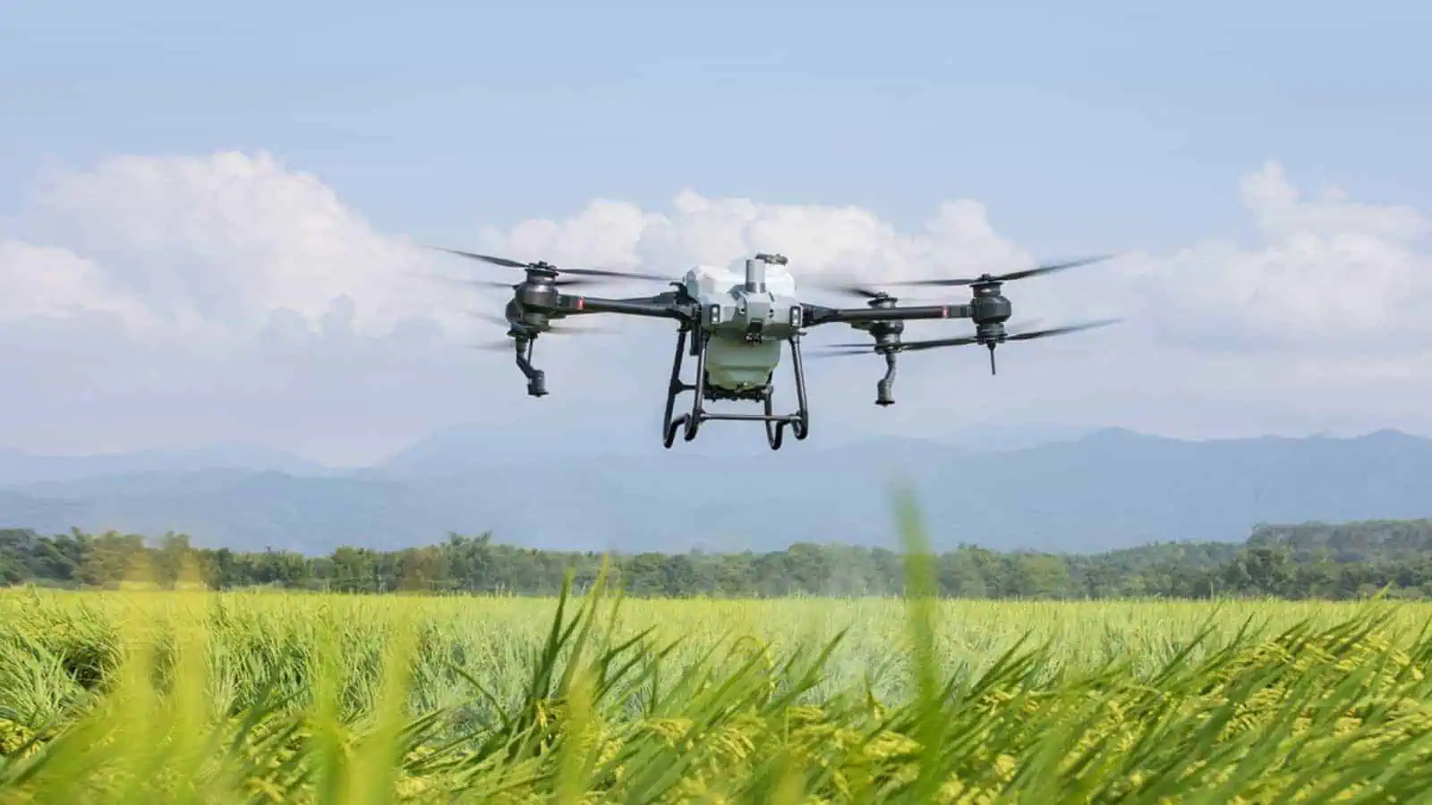 DJI Agriculture, il report sull'utilizzo dei droni nell'agricoltura